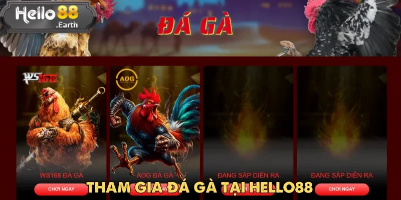 Trang chủ 59 Hello88 mang đến một giải pháp lý tưởng với hình thức cá cược đá gà online.